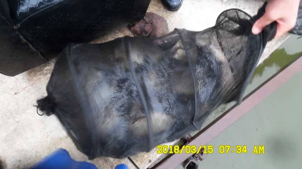 반제지 조황정보입니다 (유료터정보 - 유료터점주조황)