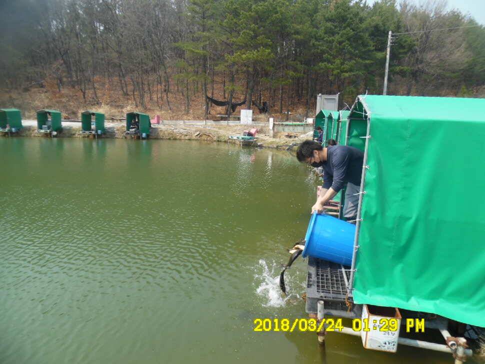 경주 동산낚시터 지난주 조황 (유료터정보 - 유료터점주조황)