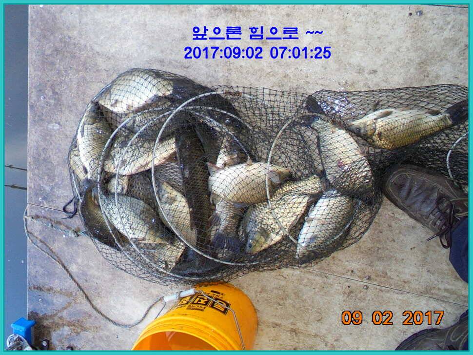도심속의 작은 쉼터 화성 관리 낚시터 입니다 (유료터정보 - 유료터점주조황)