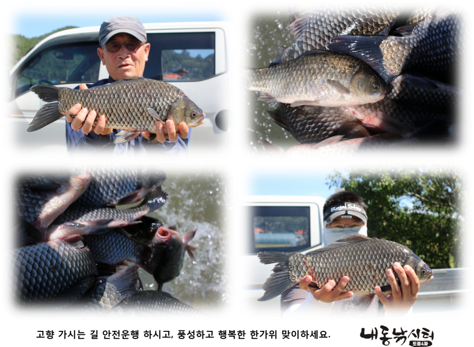 추석 이벤트 (유료터정보 - 유료터점주조황)