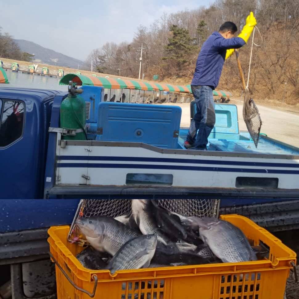 살살 개겨야지 (유료터정보 - 유료터점주조황)