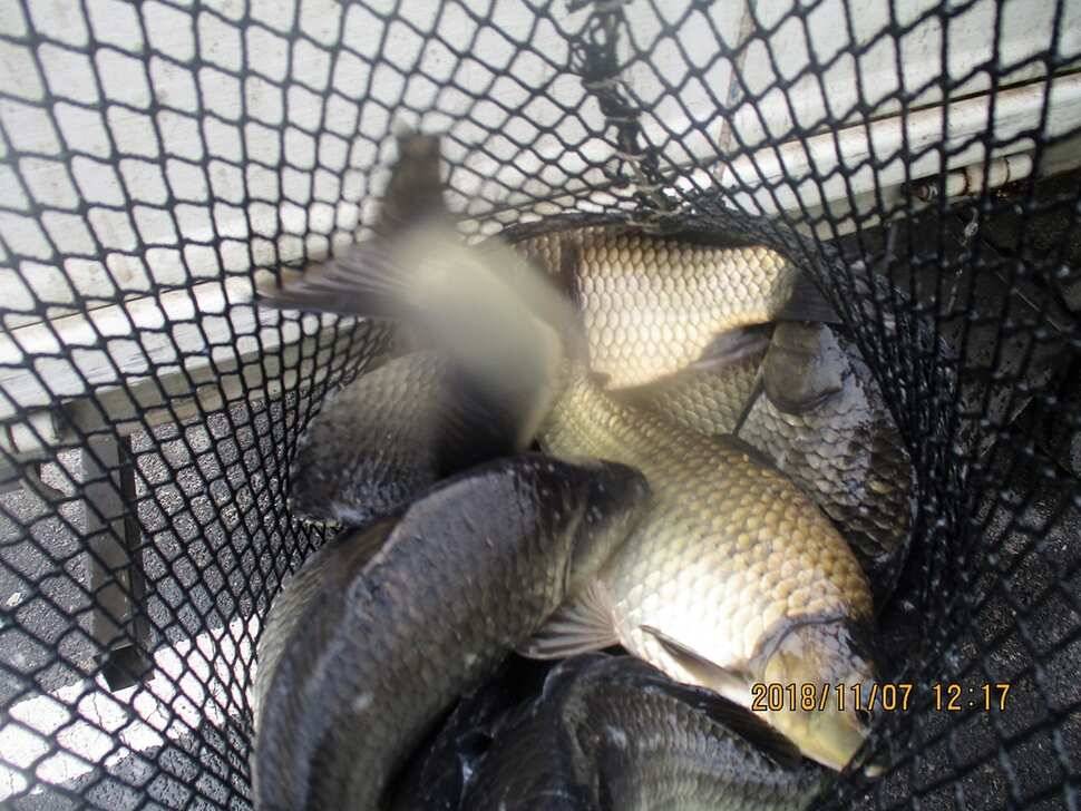 fish_pay_f3108_103453_84832.jpg