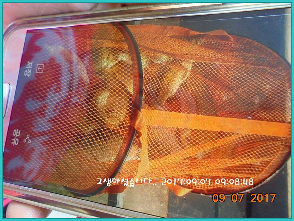 도심속의 작은 쉼터 화성 관리 낚시터입니다생각나는 사람으로 살자 (유료터정보 - 유료터점주조황)