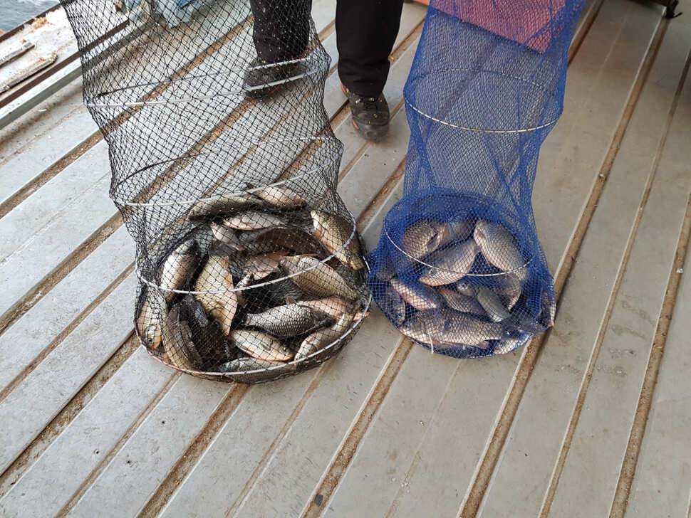 오랜만에 산들에서 살짝 올려봅니다 (유료터정보 - 유료터점주조황)