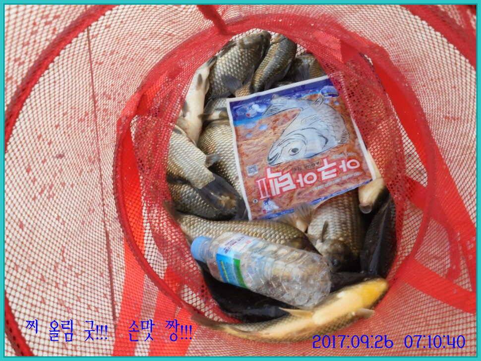 도심속의 작은 쉼터 화성 관리 낚시터입니다건강하고 풍성한 한가위 맞으소서 (유료터정보 - 유료터점주조황)