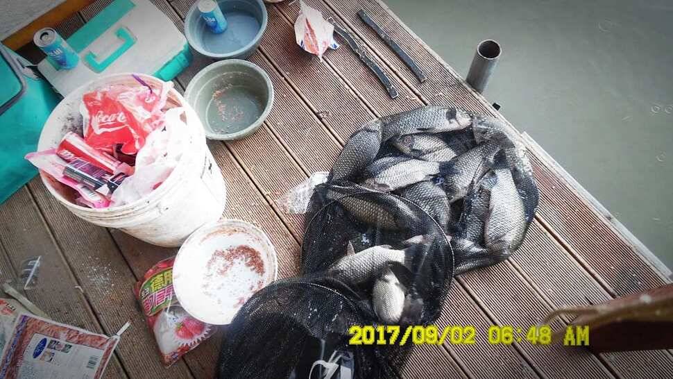 반제지 조황정보입니다 (유료터정보 - 유료터점주조황)