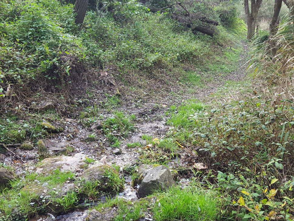 안성죽산장계지조항전경입니다 (유료터정보 - 유료터점주조황)