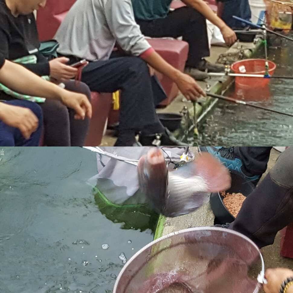 가재는 게 편 (유료터정보 - 유료터점주조황)
