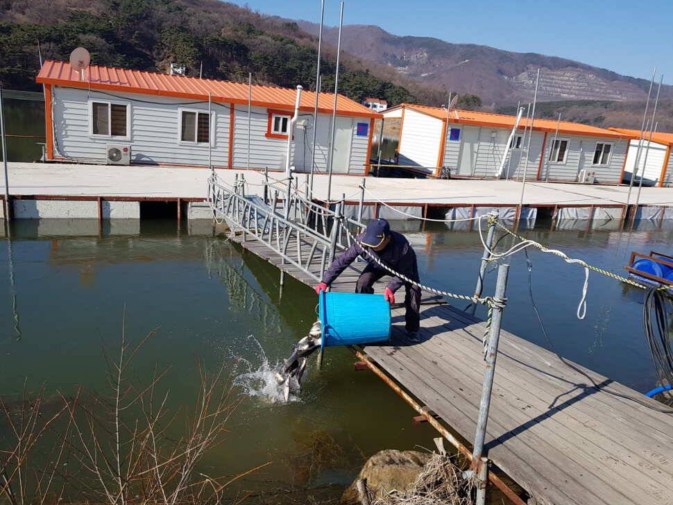 아산 산들낚시터의 상큼한 3월 첫째주 주말 모습올립니다 (유료터정보 - 유료터점주조황)