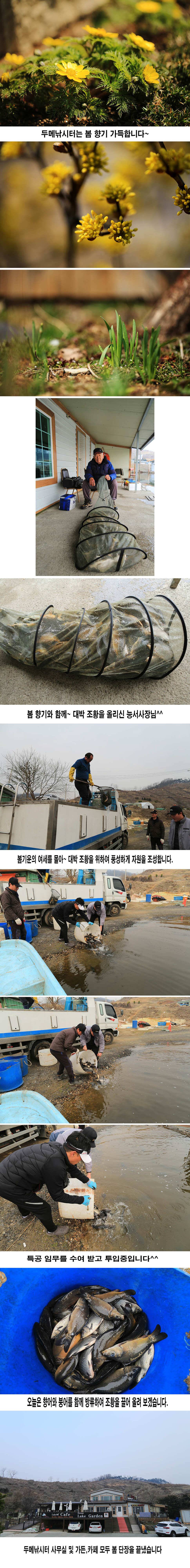 안성 두메낚시터 3월24일 조황안내 (유료터정보 - 유료터점주조황)