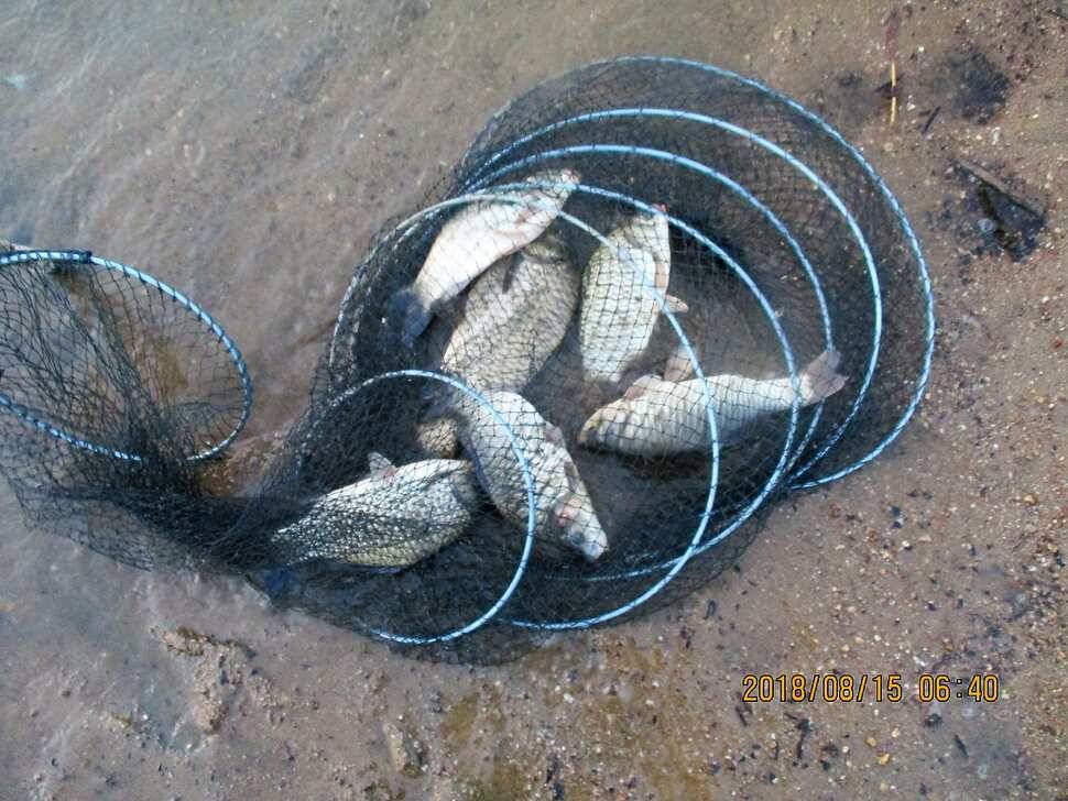 반제지 다대편성과 외대의 조과차이 (유료터정보 - 유료터점주조황)