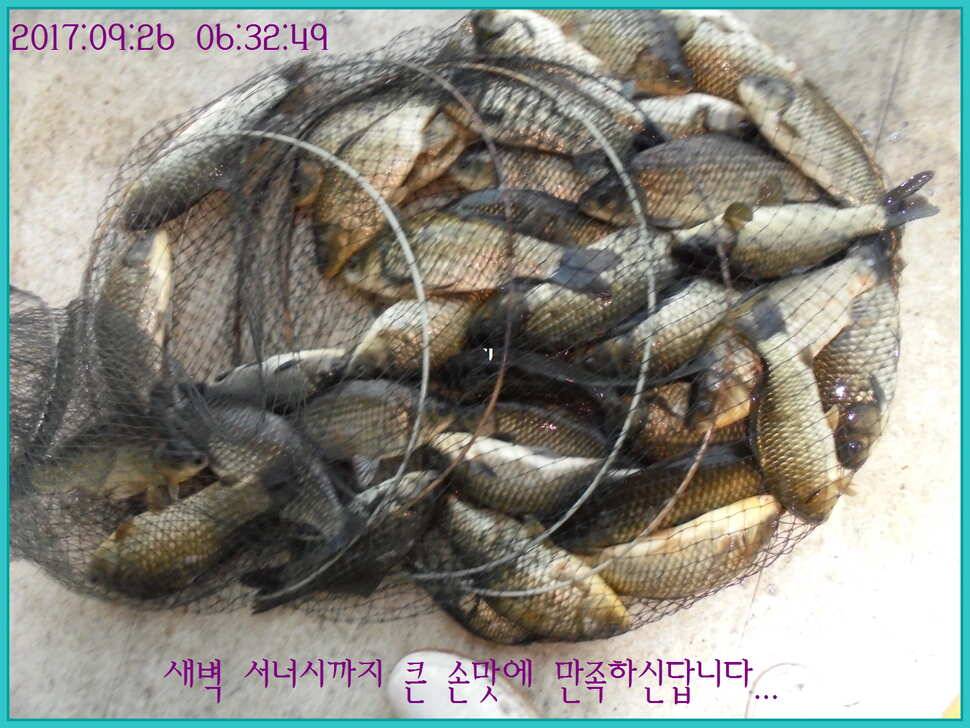 도심속의 작은 쉼터 화성 관리 낚시터입니다건강하고 풍성한 한가위 맞으소서 (유료터정보 - 유료터점주조황)