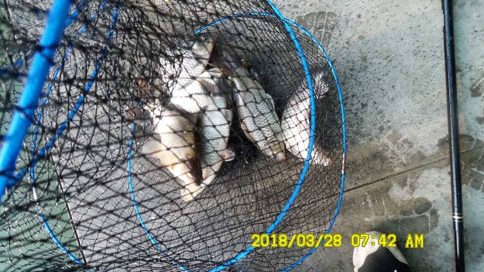 반제지 조황정보입니다 (유료터정보 - 유료터점주조황)
