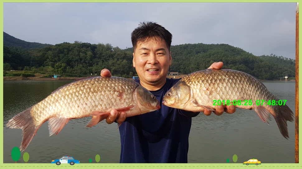 신원낚시터 8월 넷쨋주 토종 덩어리 소식입니다 (유료터정보 - 유료터점주조황)