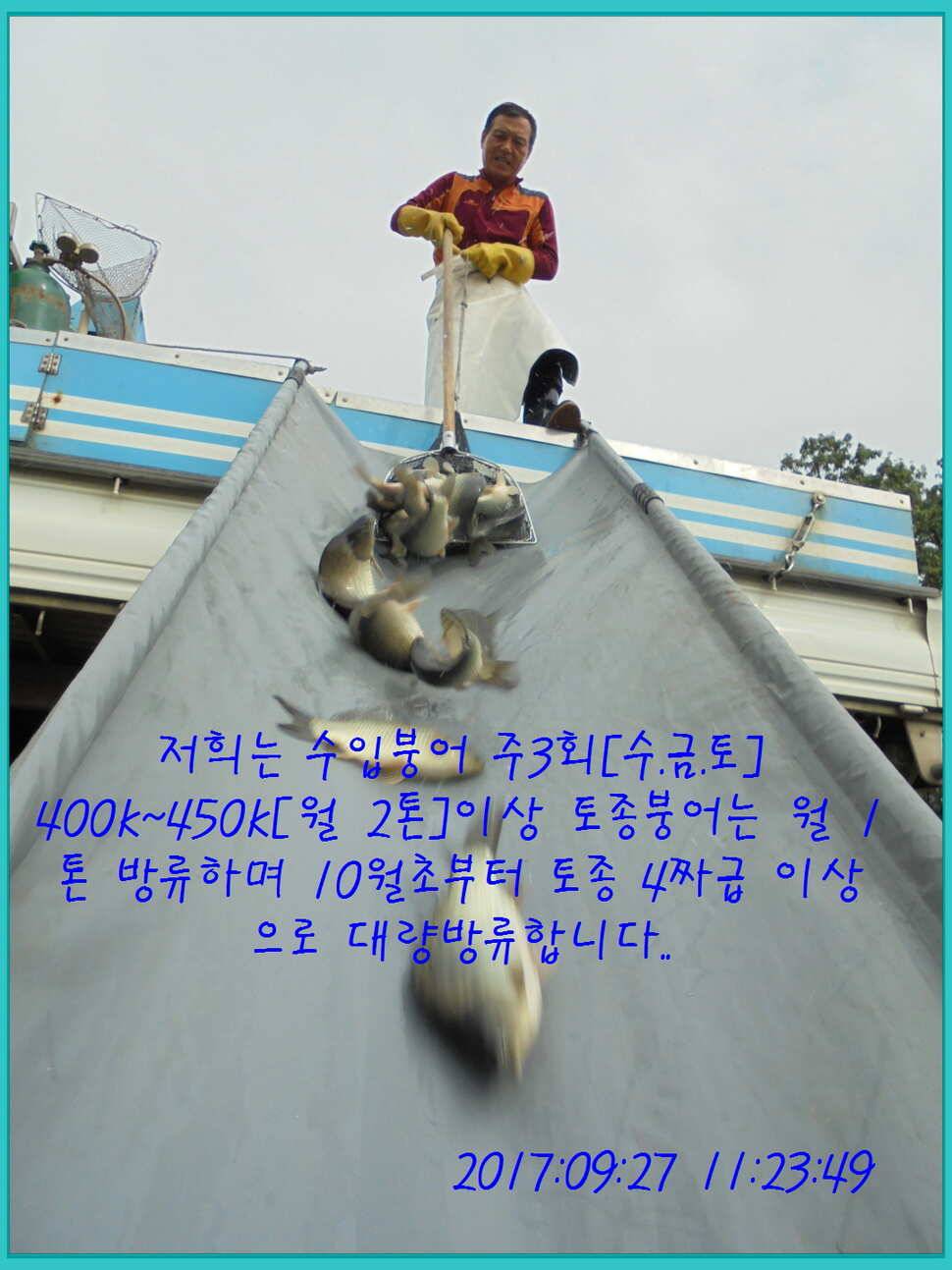 도심속의 작은 쉼터 화성 관리 낚시터입니다즐겁고 행복하고 풍성한 한가위 보내세요 (유료터정보 - 유료터점주조황)