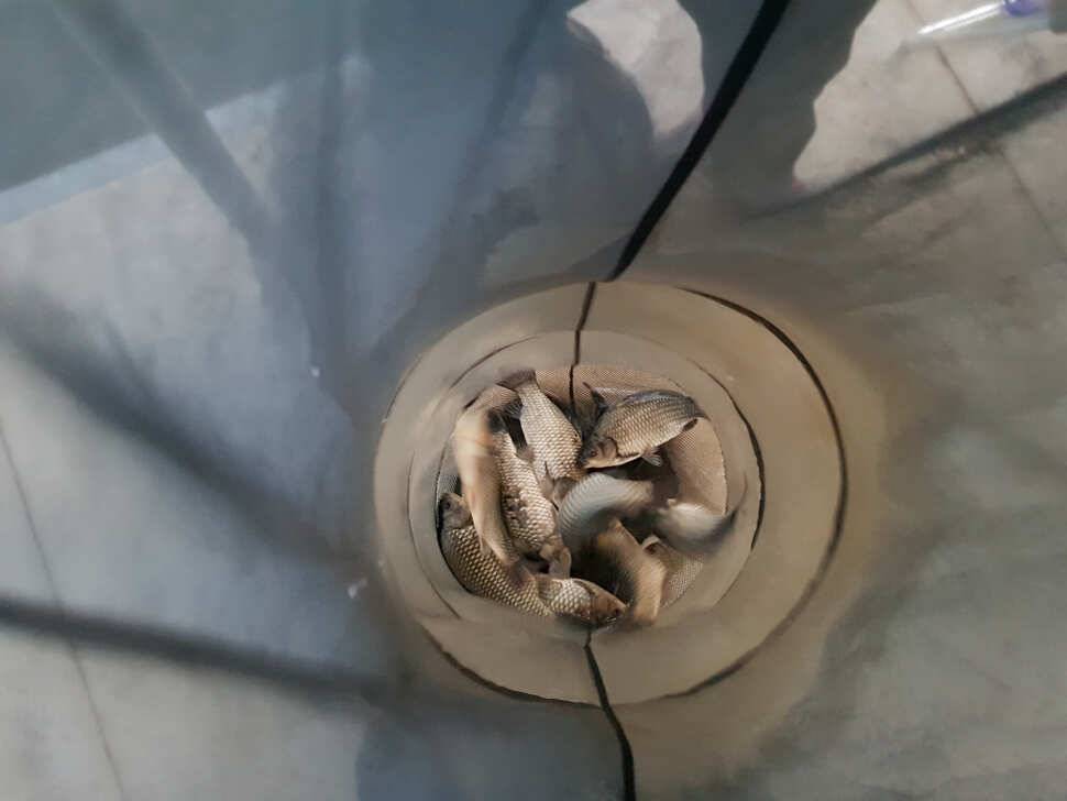 자다가 봉창 두드리고 있네요 (유료터정보 - 유료터점주조황)