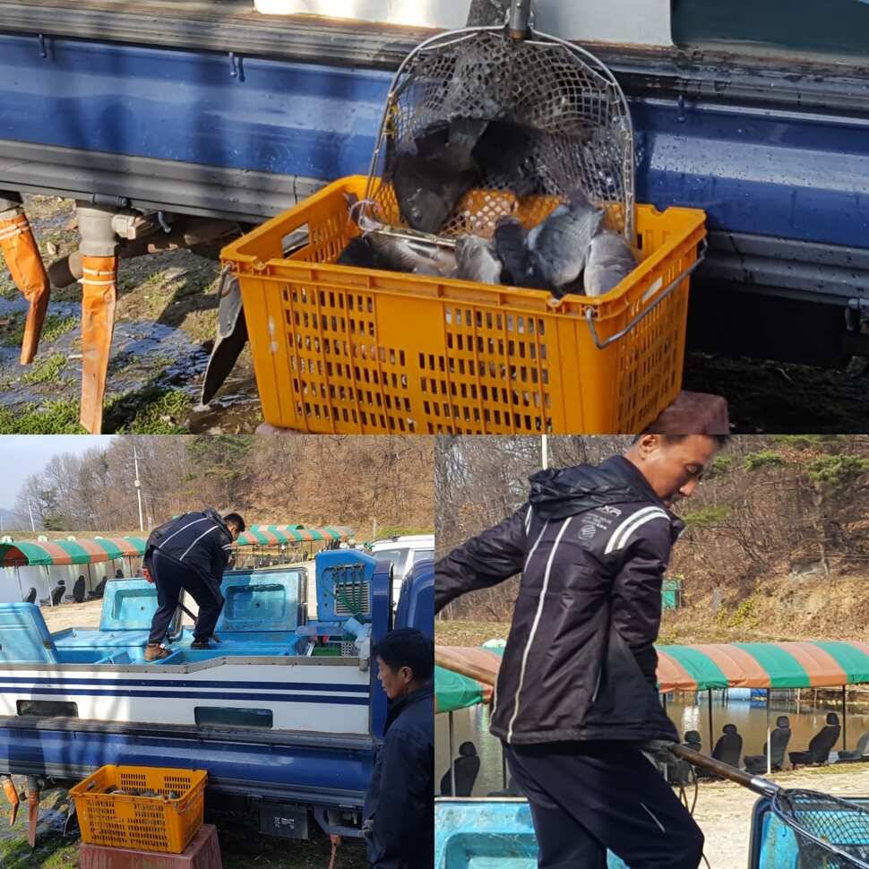 증오 (유료터정보 - 유료터점주조황)