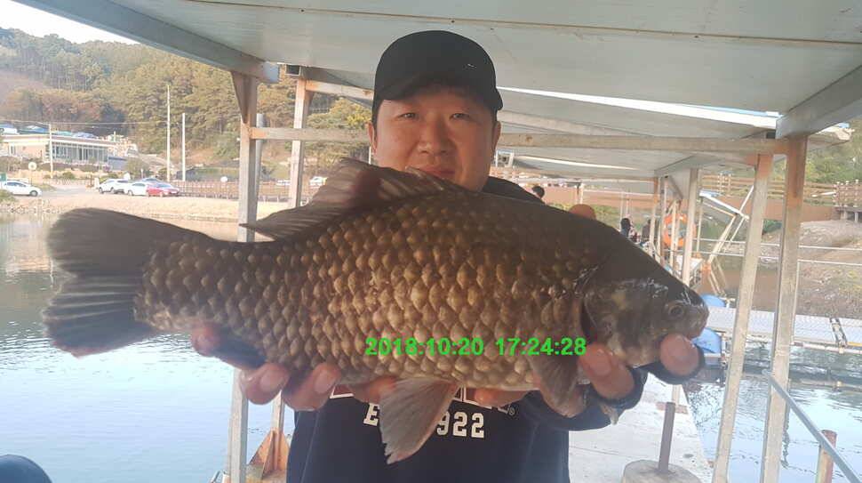 신원낚시터 10월 셋쨋주 조황 소식입니다 (유료터정보 - 유료터점주조황)