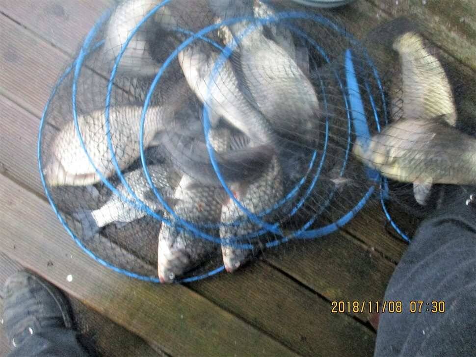 fish_pay_f86fc_103529_56500.jpg
