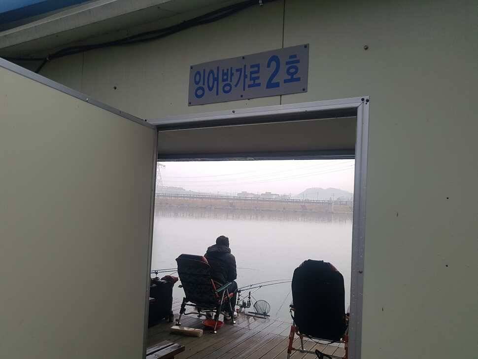 안성 거청낚시터 붕어조황 3 월 15 일 (유료터정보 - 유료터점주조황)