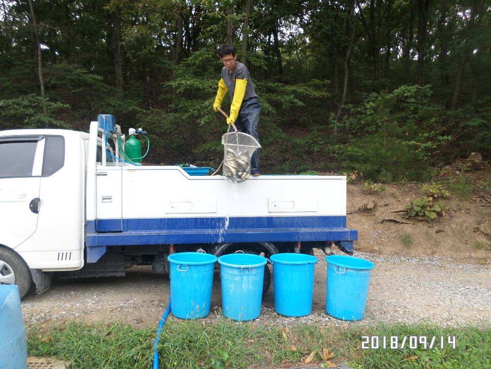 fish_pay_f9a17_031003_84074.jpg