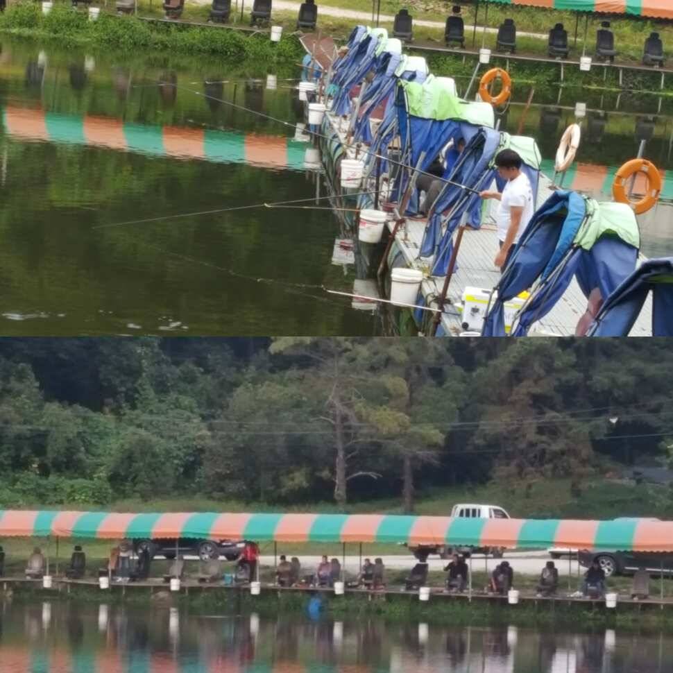 하우스 역돔낚시 개장 (유료터정보 - 유료터점주조황)
