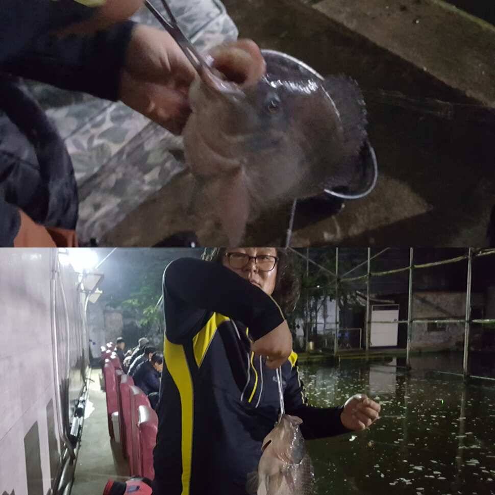 앙심 (유료터정보 - 유료터점주조황)