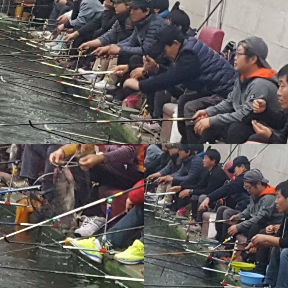 마음의 거울 (유료터정보 - 유료터점주조황)
