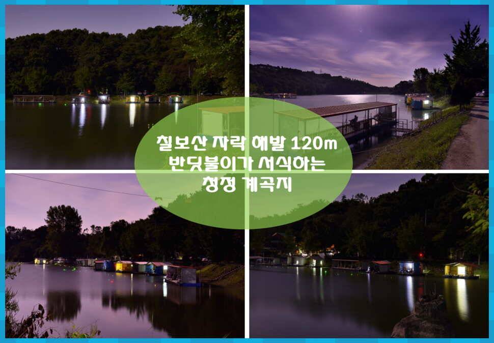 양평 수곡낚시터 주중조황 좋아지고 있으며 노지잔교 물낚시 가능합니다 (유료터정보 - 유료터점주조황)
