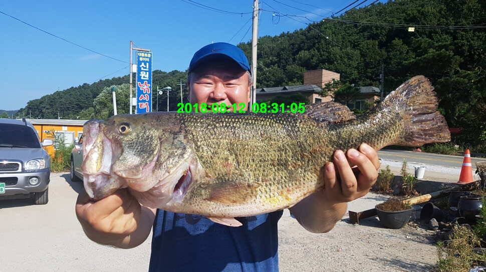 신원낚시터 8월 둘쨋주 조황 소식입니다 (유료터정보 - 유료터점주조황)