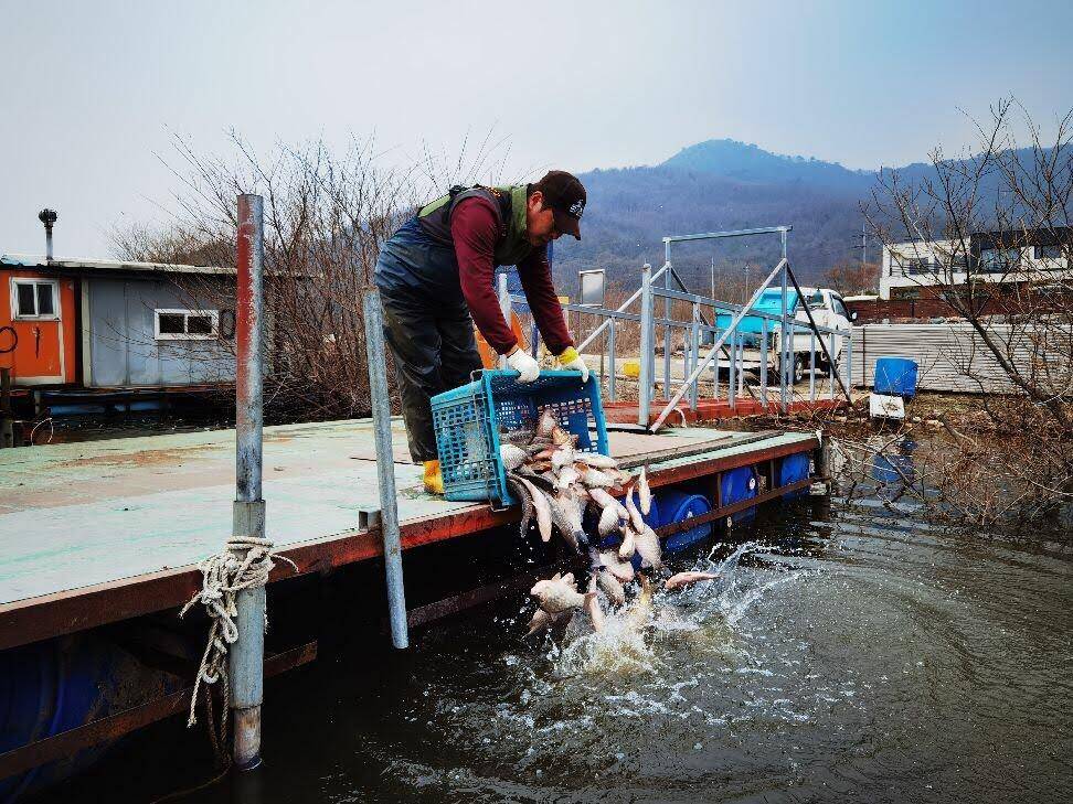 아산 안골지 4짜 소식을 전해드립니다 (유료터정보 - 유료터점주조황)