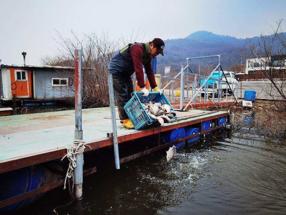 아산 안골지 4짜 소식을 전해드립니다 (유료터정보 - 유료터점주조황)