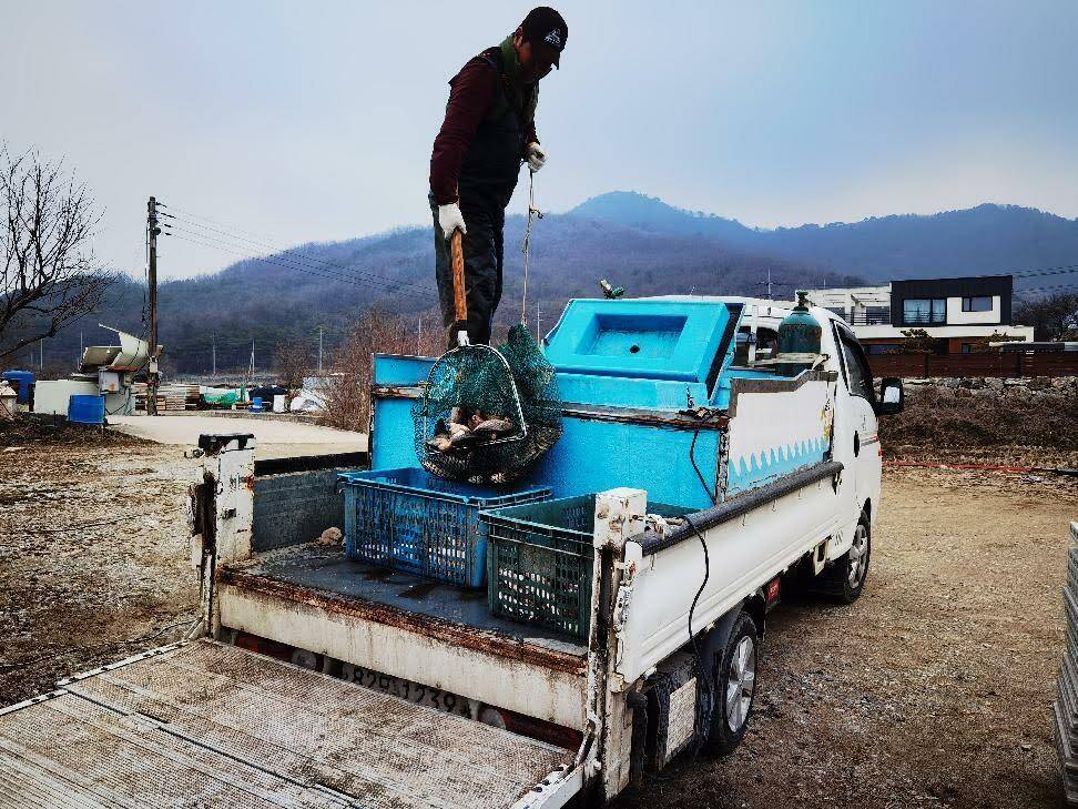 아산 안골지 4짜 소식을 전해드립니다 (유료터정보 - 유료터점주조황)