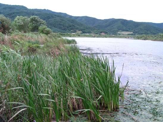 일본 마루큐 제품에 관한 의문 (월척지식 - 낚시용품)