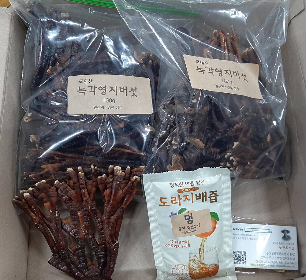 꼭 한번 해보고 싶었던거 (커뮤니티 - 자유게시판)