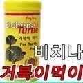 하얀 부르스 거북이 회장님 (커뮤니티 - 자유게시판)