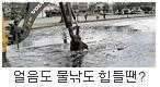 제가 올린 질문글지식란에 붙은 썸네일 사진인데요 크게 보고 싶습니다 (커뮤니티 - 자유게시판)