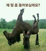 제 말 한번 들어 보실래예 (커뮤니티 - 자유게시판)