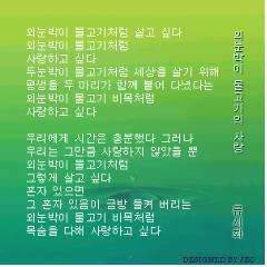 외눈박이 물고기 사랑 (커뮤니티 - 자유게시판)