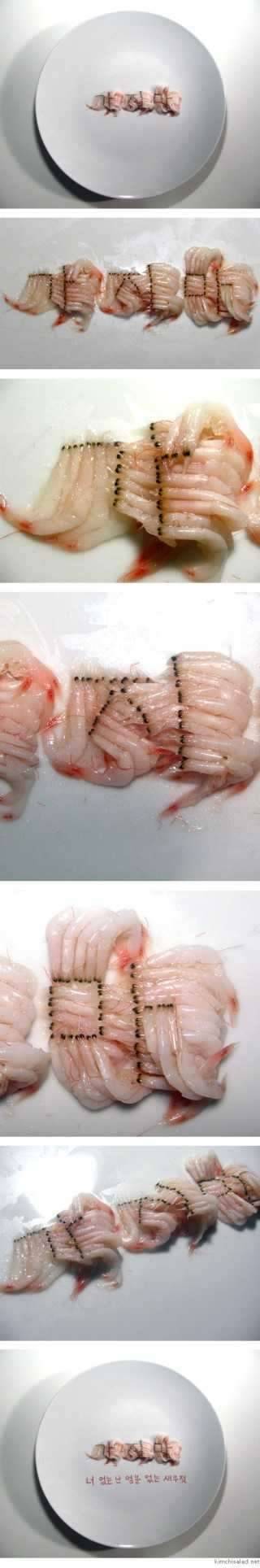 오늘 낚시 가세요 (커뮤니티 - 자유게시판)