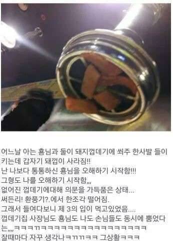 수릿대 스펙트라수향 (커뮤니티 - 자유게시판)