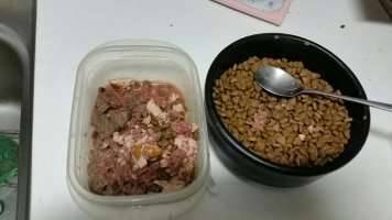 자게방 秘話 5편 어좁 대장금 (커뮤니티 - 자유게시판)