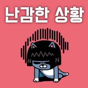 비가 오니 (커뮤니티 - 자유게시판)