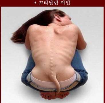 그녀의비밀 (커뮤니티 - 자유게시판)