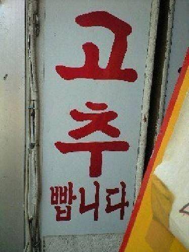 고추 빱니다 (커뮤니티 - 자유게시판)