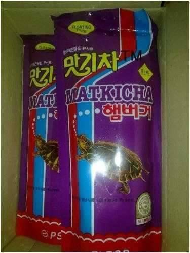 하얀 부르스 거북이 회장님 (커뮤니티 - 자유게시판)