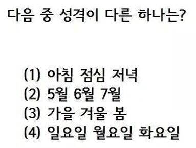 대물낚시 (커뮤니티 - 자유게시판)