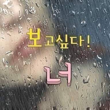 출석부 (커뮤니티 - 자유게시판)