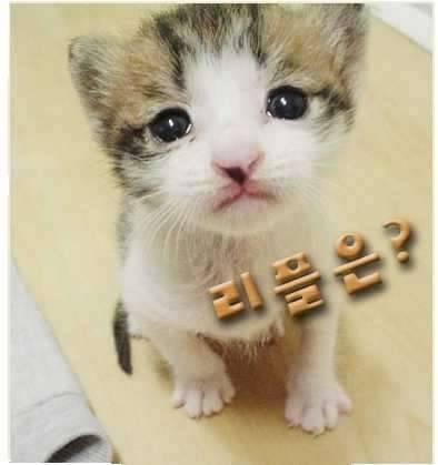 세상사람들이 못하는 것 (커뮤니티 - 자유게시판)