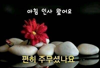 출석 부릅니다 (커뮤니티 - 자유게시판)